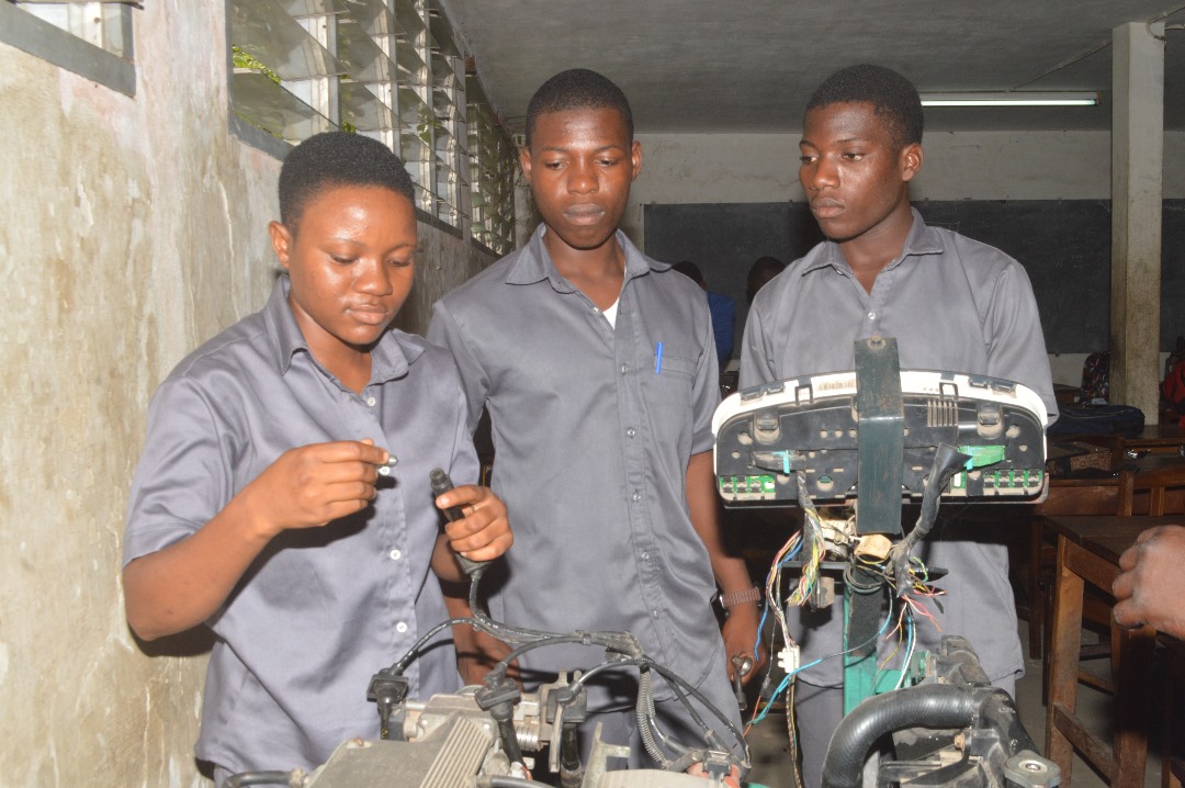 WhatsApp Image 2025 01 03 a 23.06.34_e6ce5e3c 1